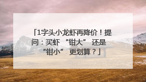 1字头小龙虾再降价！提问：买虾 “钳大” 还是 “钳小” 更划算？