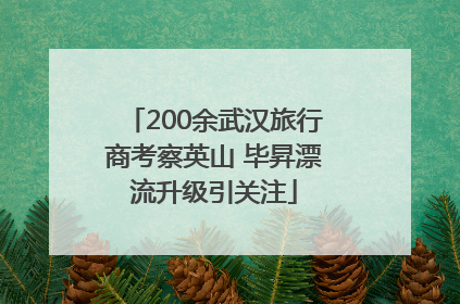 200余武汉旅行商考察英山 毕昇漂流升级引关注