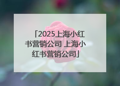 2025上海小红书营销公司 上海小红书营销公司
