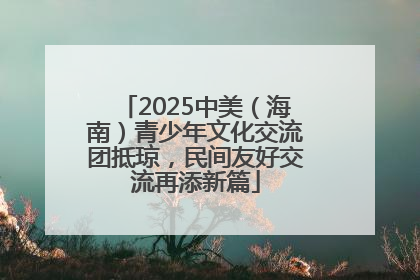 2025中美（海南）青少年文化交流团抵琼，民间友好交流再添新篇