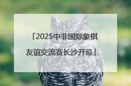2025中非国际象棋友谊交流赛长沙开幕