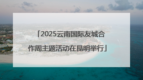 2025云南国际友城合作周主题活动在昆明举行