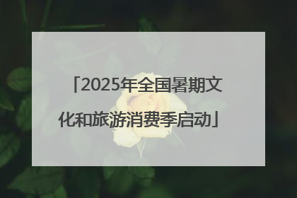 2025年全国暑期文化和旅游消费季启动