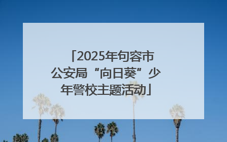 2025年句容市公安局“向日葵”少年警校主题活动