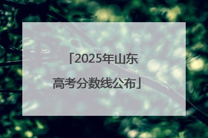 2025年山东高考分数线公布