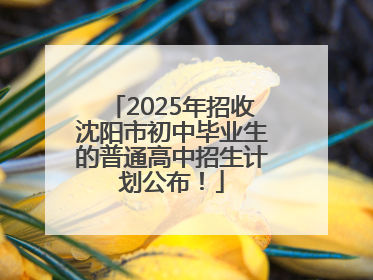 2025年招收沈阳市初中毕业生的普通高中招生计划公布！