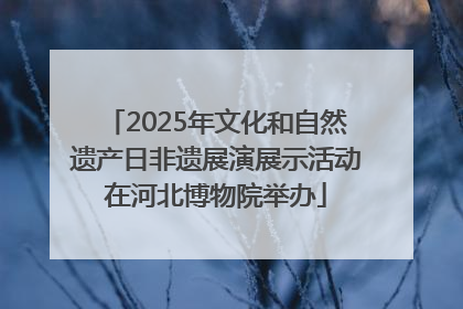 2025年文化和自然遗产日非遗展演展示活动在河北博物院举办