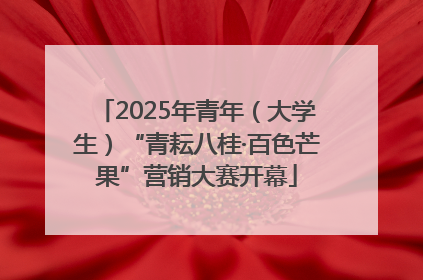 2025年青年（大学生）“青耘八桂·百色芒果”营销大赛开幕