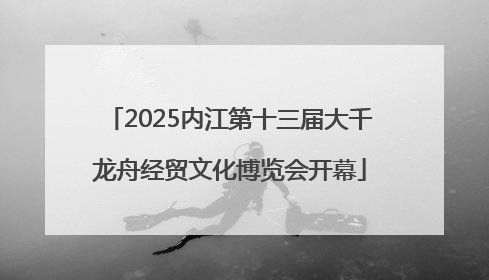 2025内江第十三届大千龙舟经贸文化博览会开幕