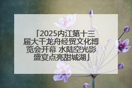 2025内江第十三届大千龙舟经贸文化博览会开幕 水陆空光影盛宴点亮甜城湖
