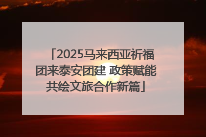 2025马来西亚祈福团来泰安团建 政策赋能共绘文旅合作新篇