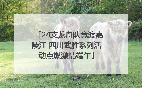 24支龙舟队竞渡嘉陵江 四川武胜系列活动点燃激情端午