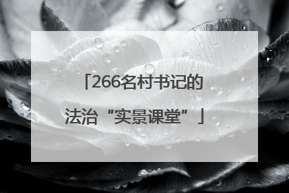 266名村书记的法治“实景课堂”