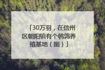 30万羽，在信州区朝阳镇有个鹌鹑养殖基地（图）