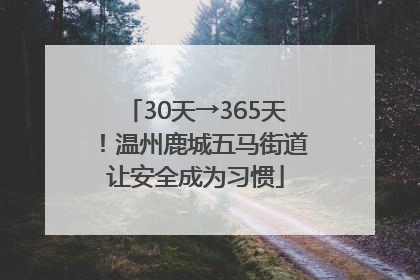 30天→365天！温州鹿城五马街道让安全成为习惯