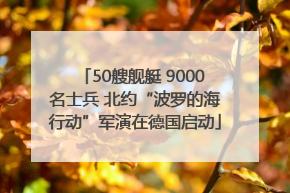 50艘舰艇 9000名士兵 北约“波罗的海行动”军演在德国启动