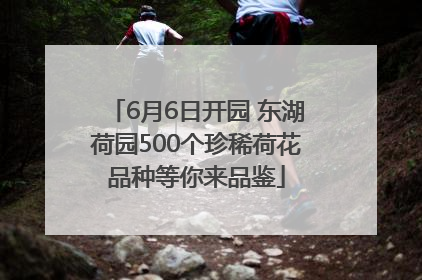 6月6日开园 东湖荷园500个珍稀荷花品种等你来品鉴