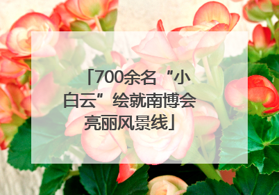 700余名“小白云”绘就南博会亮丽风景线