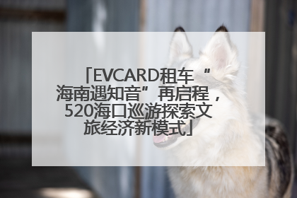 EVCARD租车“海南遇知音”再启程，520海口巡游探索文旅经济新模式